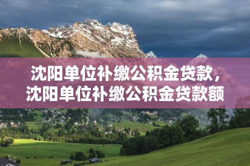  单位补缴公积金贷款， 单位补缴公积金贷款额度