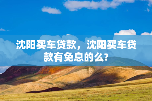 四平买车贷款，四平买车贷款有免息的么?