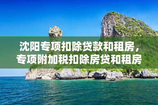 四平专项扣除贷款和租房，专项附加税扣除房贷和租房选哪个合适