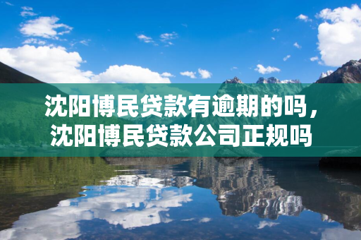 四平博民贷款有逾期的吗，四平博民贷款公司正规吗